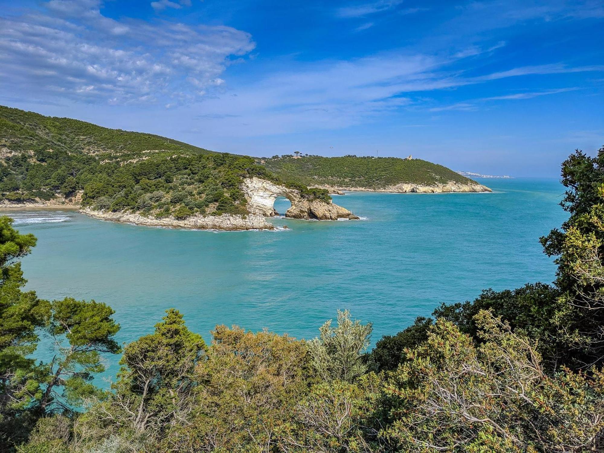 Villa Mapa - Appartamenti Vicino Al Mare Vieste Zewnętrze zdjęcie