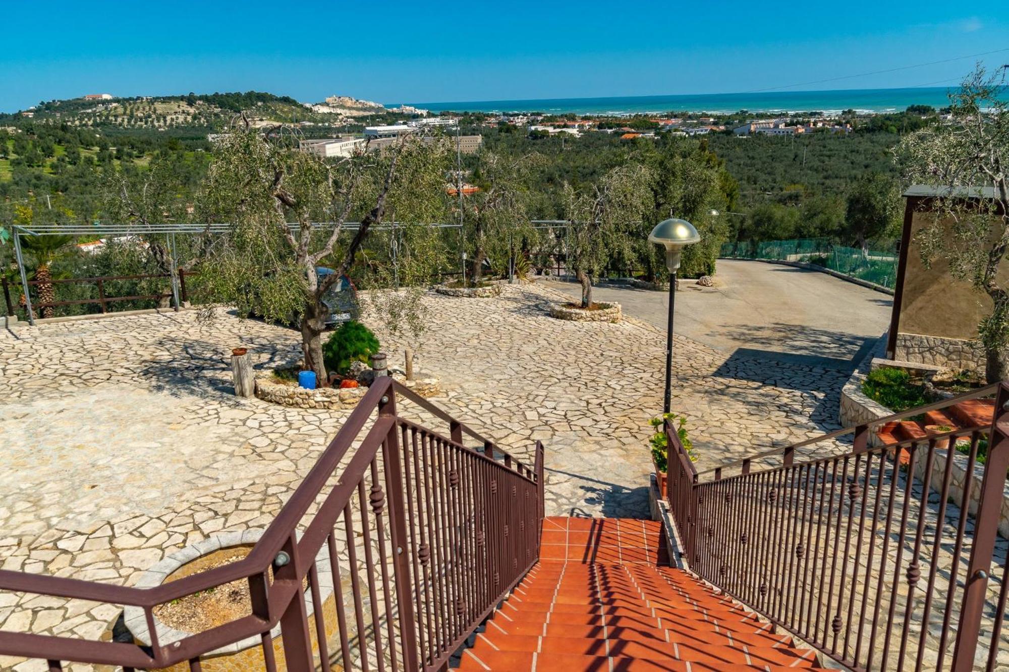 Villa Mapa - Appartamenti Vicino Al Mare Vieste Zewnętrze zdjęcie